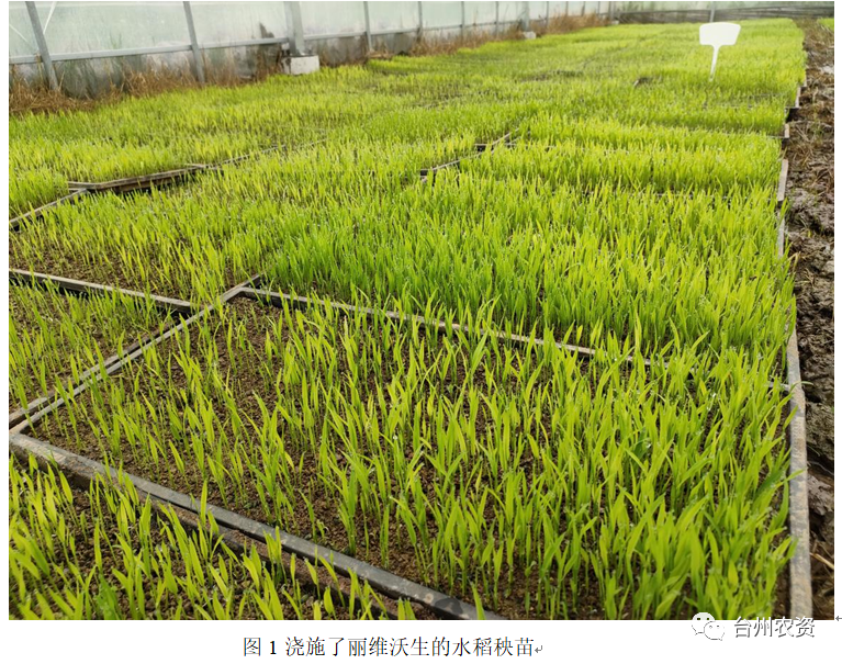 臺(tái)州農(nóng)資 臺(tái)州農(nóng)資